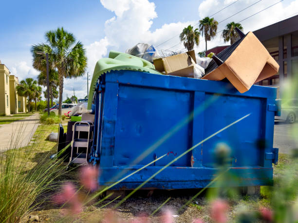 Professional Junk Removal Services in Livingston, AL